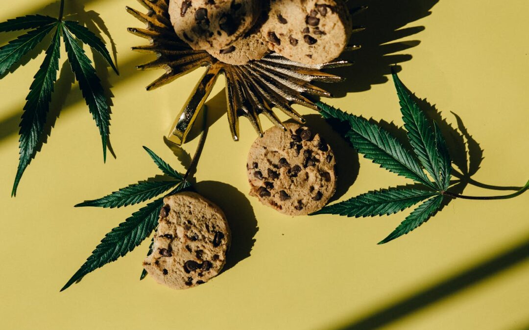 How Long Do Cannabis Edibles Take To Kick In? What You Need To Know