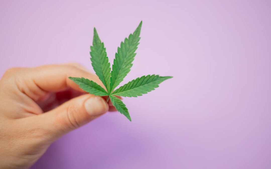 How To Store And Maintain Cannabis Transdermal Patches For Optimal Use